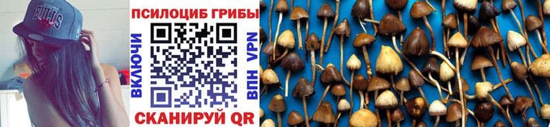 OMG как зайти  Нарткала  Псилоцибиновые грибы ЛСД 